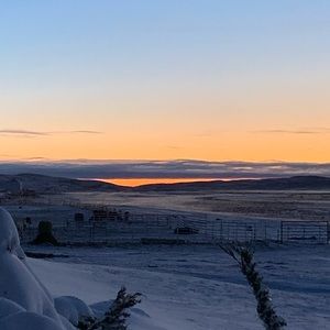 Meet your Posher, Logan